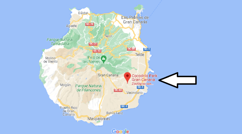 ¿Dónde está Cocodrilo Park Gran Canaria