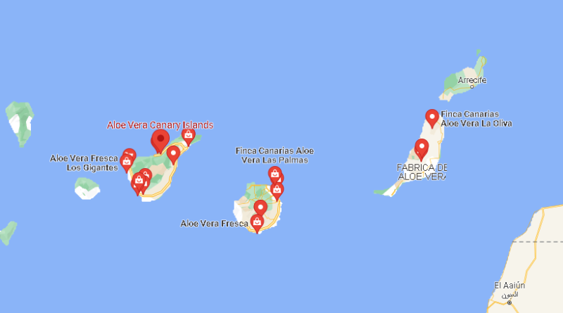 ¿Dónde está El Aloe Vera de las islas canarias