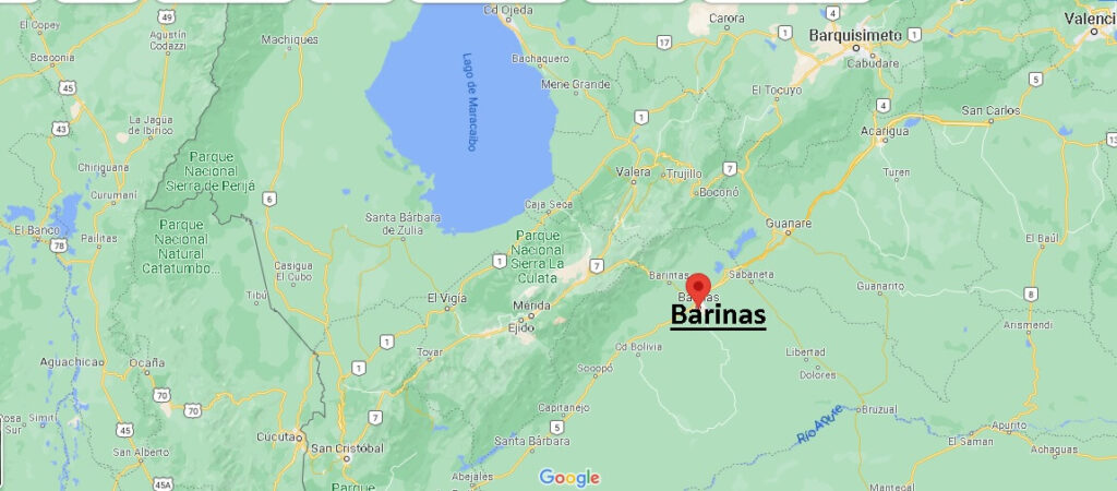 ¿Cuál es el municipio de Barinas Venezuela