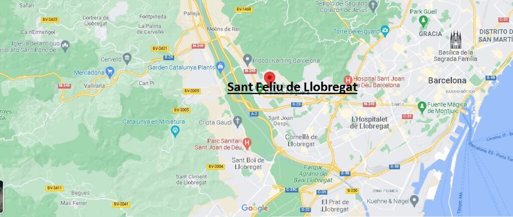 ¿Cuál es el municipio de Sant Feliu de Llobregat