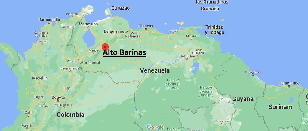 ¿Dónde está Alto Barinas en Venezuela