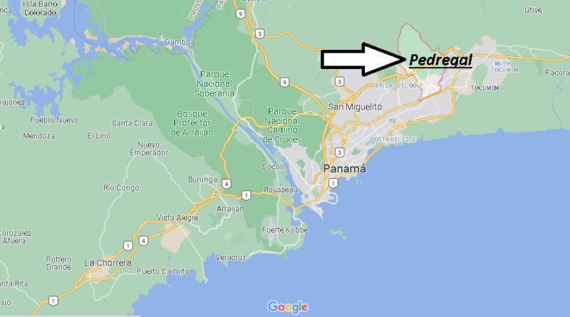 ¿Dónde está Pedregal (Panamá)