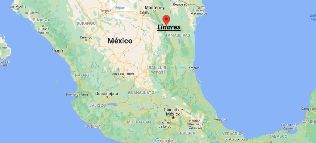 ¿Dónde está Linares en Mexico