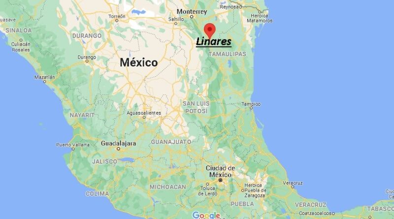 ¿Dónde está Linares en Mexico