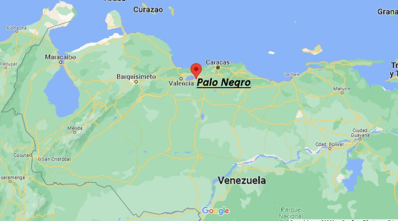 ¿Dónde está Palo Negro en Venezuela