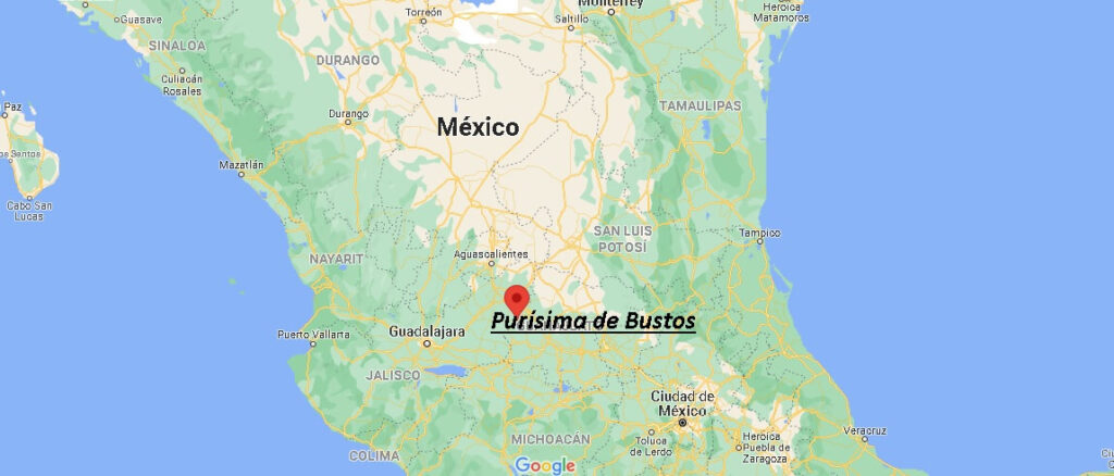 ¿Dónde está Purísima de Bustos en Mexico