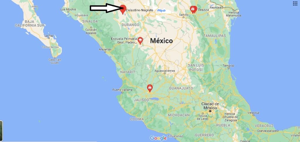 ¿Dónde está Pedro Celestino Negrete Mexico