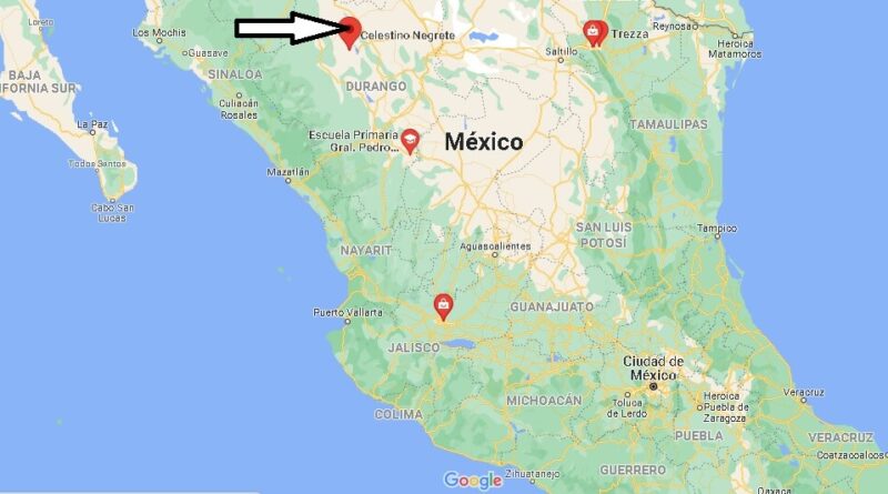 ¿Dónde está Pedro Celestino Negrete Mexico