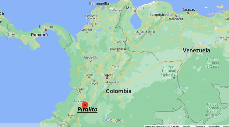 ¿Dónde está Pitalito Colombia