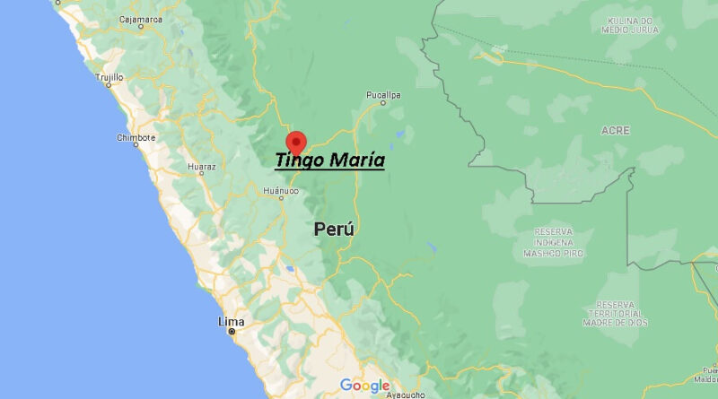 ¿Dónde está Tingo María Peru