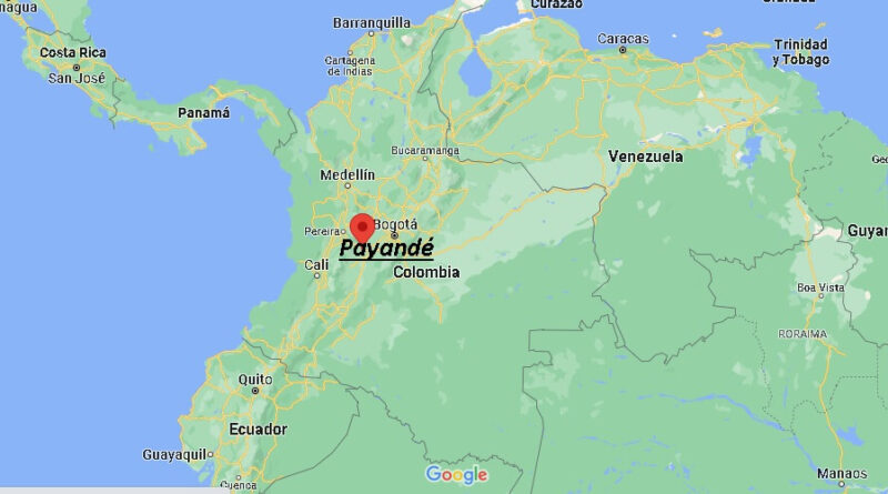 ¿Dónde está Payandé Colombia