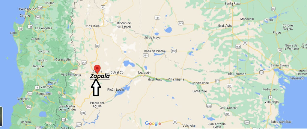 ¿Dónde está ubicada la ciudad de Zapala