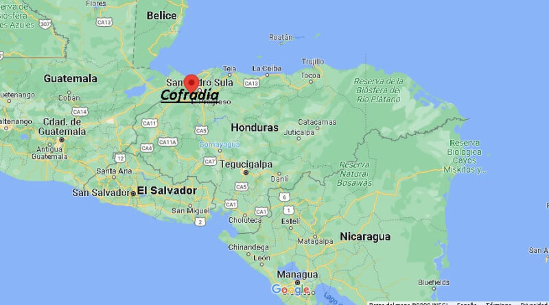 ¿Dónde está Cofradía Honduras