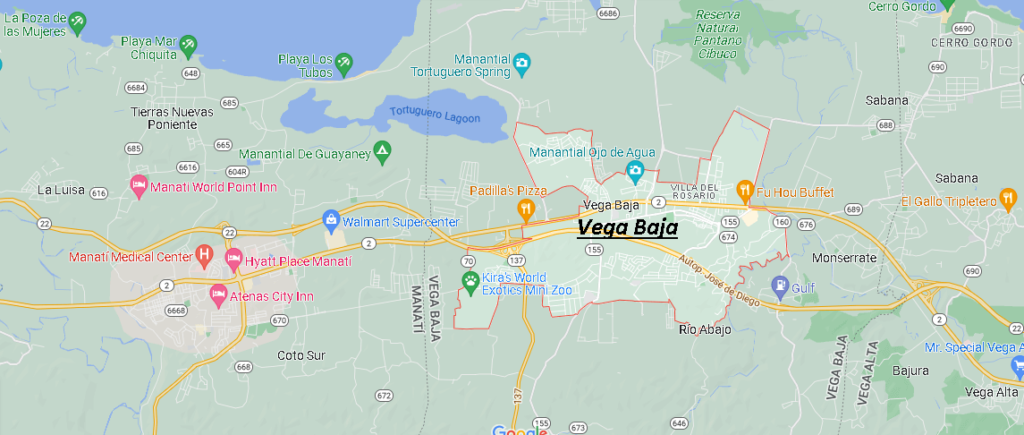 Vega Baja