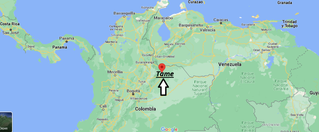 ¿Dónde está Tame Colombia