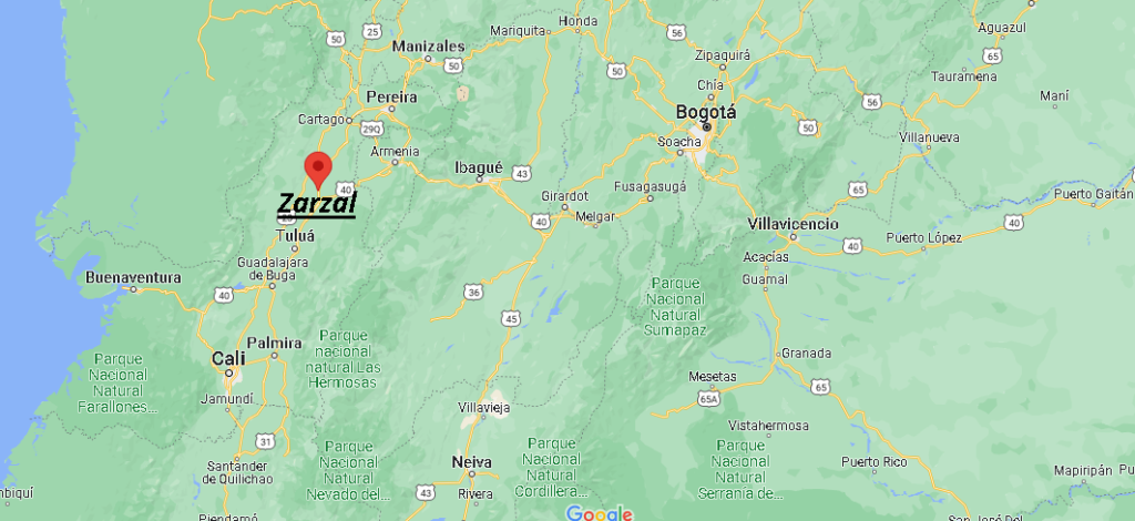 ¿Dónde queda Zarzal Bogotá