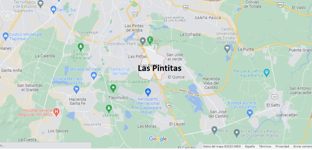Las Pintitas