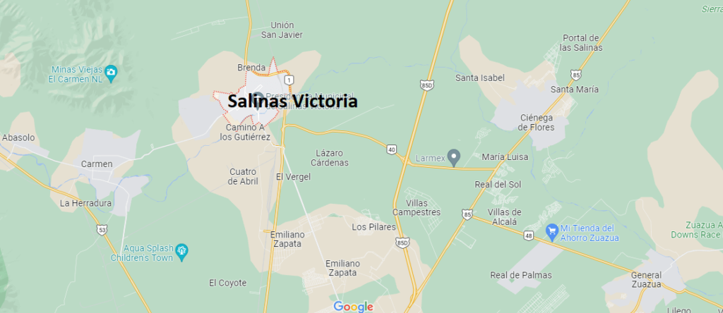 Salinas Victoria