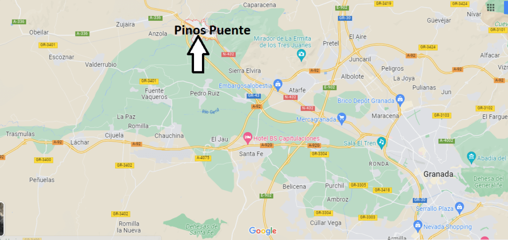 Pinos Puente